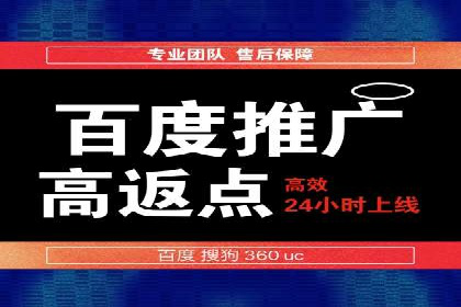 百度竞价策略成功案例：如何做到日赚千元